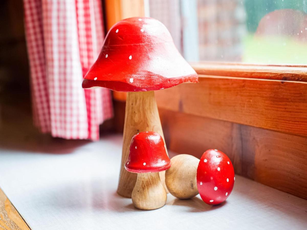 Vintage Holiday Home In Vorarlberg Near Ski Area Шварценберг им Брегенцервалд Екстериор снимка